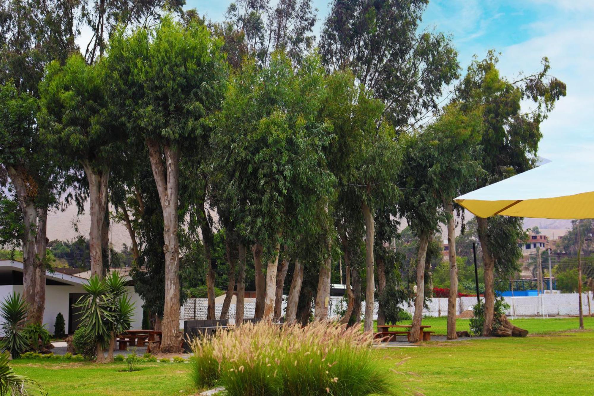 Los Andes - Restaurant & Bungalows Сьенегилья Экстерьер фото