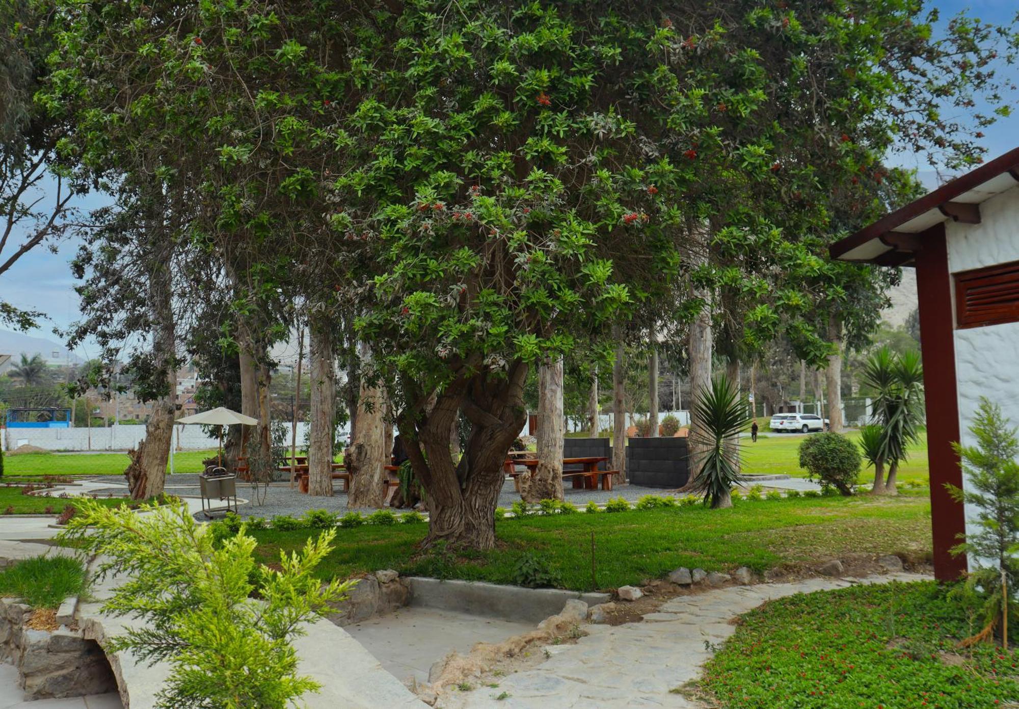 Los Andes - Restaurant & Bungalows Сьенегилья Экстерьер фото
